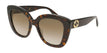 002 havana havana brown