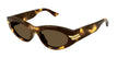005 havana havana brown