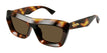 002 havana havana brown