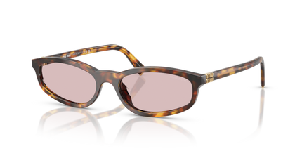 Collection image for: Vetrina