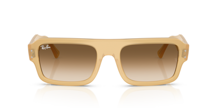 4454 SOLE