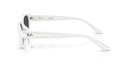 4457D SOLE