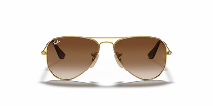 9506S SOLE