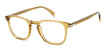 FMP/20 OCHRE