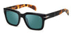 WR7/MT BLACK HAVANA