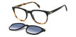 WR7/Z7 BLACK HAVANA