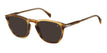 EX4/70 BROWN HORN