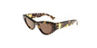 002 havana havana brown