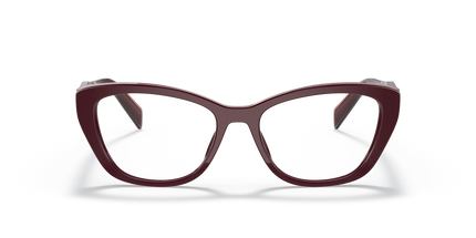 19WV VISTA
