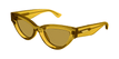 003 brown brown yellow