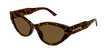 002 havana havana brown
