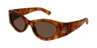 002 havana havana brown
