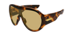 002 havana havana brown