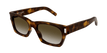 019 havana havana brown