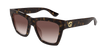 002 havana havana brown