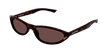 013 havana havana brown