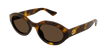 002 havana havana brown