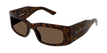 002 havana havana brown