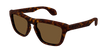 002 havana havana brown
