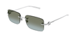 007 silver silver brown