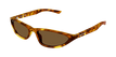 003 havana havana brown