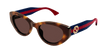 002 havana blue brown
