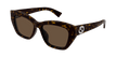 002 havana havana brown