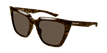 002 havana havana brown