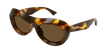 002 havana havana brown
