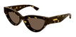002 havana havana brown