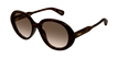 002 havana havana brown