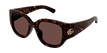 002 havana havana brown