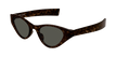 002 havana havana grey