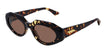 002 havana havana brown