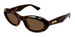 002 havana havana brown