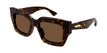 002 havana havana brown