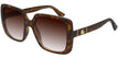 002 havana havana brown