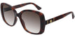 002 havana havana brown