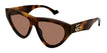 002 havana havana brown