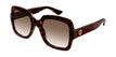 003 havana havana brown