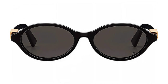 DIORTREASURE R1I