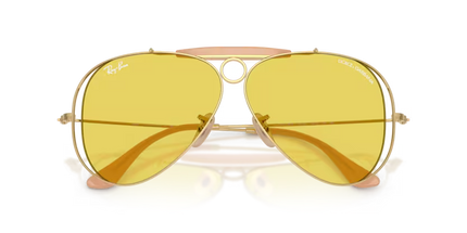 3138M SOLE
