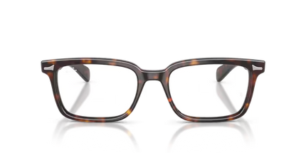 5534 VISTA