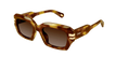 002 havana havana brown