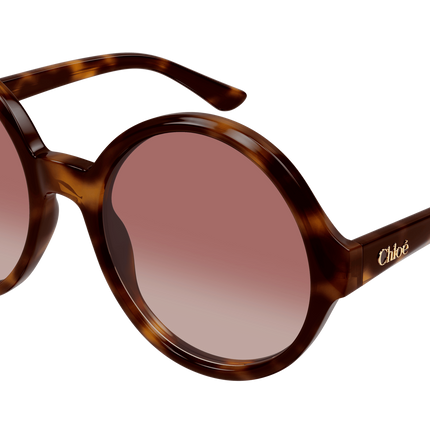 Collection image for: 40% internazionale service