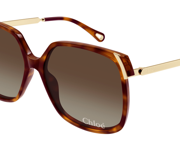 Chloé - CH0286S - Occhiali da sole – Ottica Galano