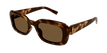 004 havana havana brown