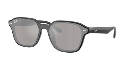 4458D SOLE
