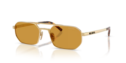 D53S SOLE