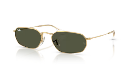 Collection image for: Rayban
